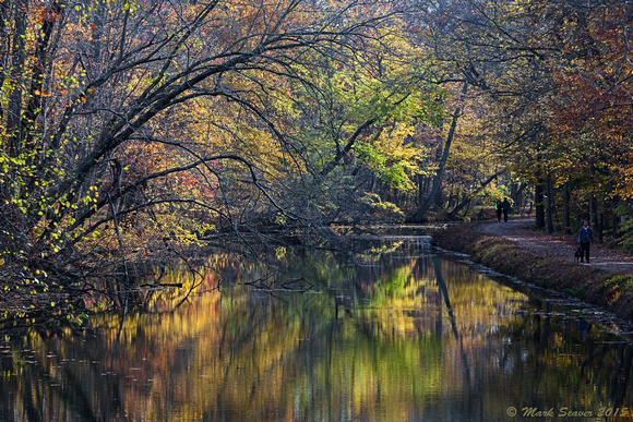 Fall on the C&O Canal