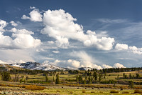 Spring on the Blacktail Plateau