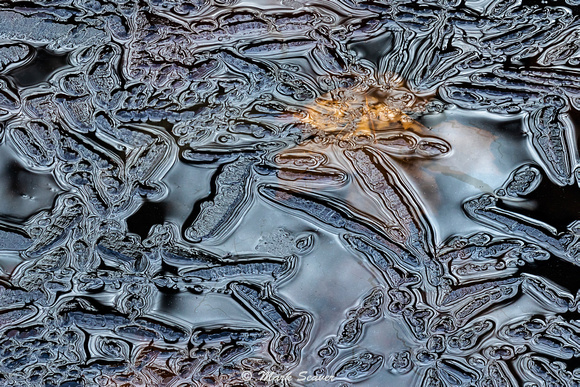 Ice, water and leaves #1