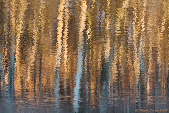 Winter Reflections #3
