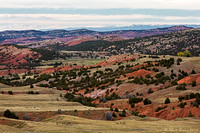 Bighorn Basin reds