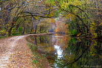 Fall on the Towpath